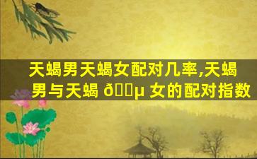 天蝎男天蝎女配对几率,天蝎男与天蝎 🌵 女的配对指数